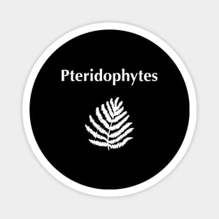 Pteridophytes Magnet